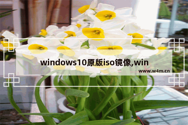 windows10原版iso镜像,win10原版系统iso镜像下载