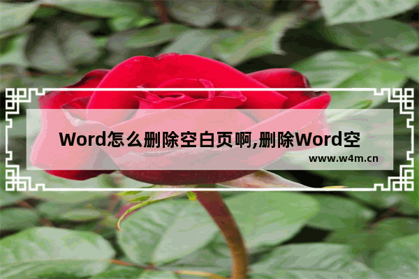 Word怎么删除空白页啊,删除Word空白页的六种方法