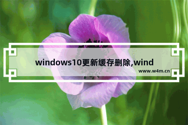 windows10更新缓存删除,windows更新缓存删除