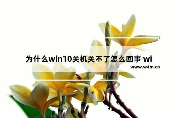 为什么win10关机关不了怎么回事 win10无法正常关机是什么问题？