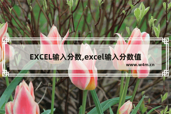 EXCEL输入分数,excel输入分数值