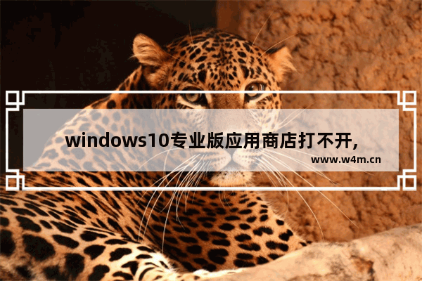 windows10专业版应用商店打不开,win10自带的应用商店打不开