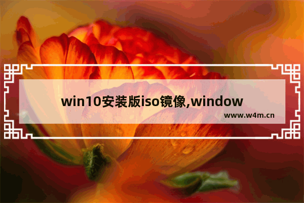 win10安装版iso镜像,windows10原版iso镜像