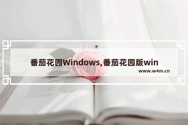 番茄花园Windows,番茄花园版win7