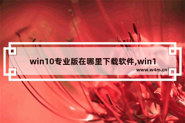 win10专业版在哪里下载软件,win10专业版在哪里下载好