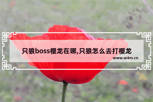 只狼boss樱龙在哪,只狼怎么去打樱龙