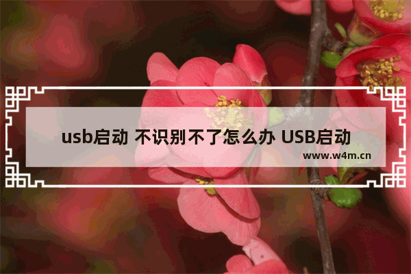 usb启动 不识别不了怎么办 USB启动故障处理技巧总结