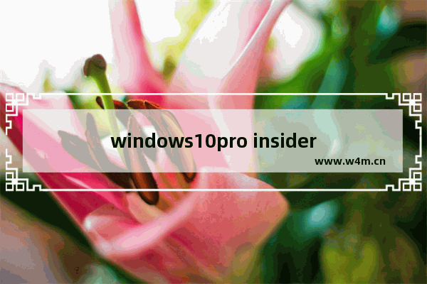 windows10pro insider preview,win10 insider preview升级正式版