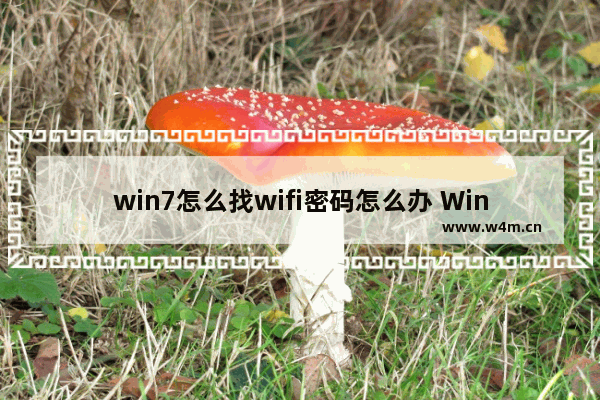 win7怎么找wifi密码怎么办 Win7如何查看WiFi密码