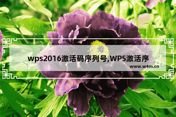 wps2016激活码序列号,WPS激活序列号