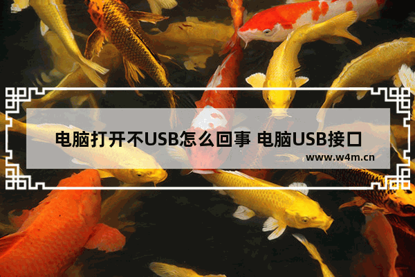 电脑打开不USB怎么回事 电脑USB接口失效的解决方案