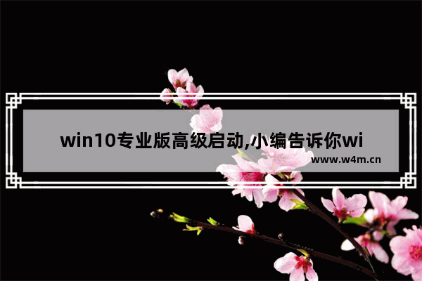 win10专业版高级启动,小编告诉你win10快速启动的原理及弊端