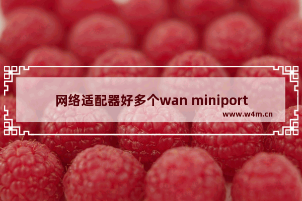 网络适配器好多个wan miniport,网络适配器里面显示很多wan miniport却不能上网