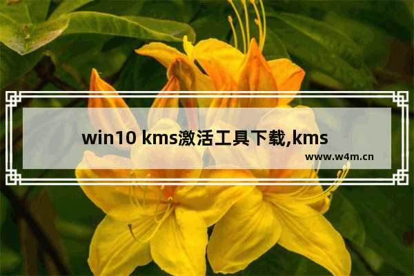 win10 kms激活工具下载,kms win10激活教程