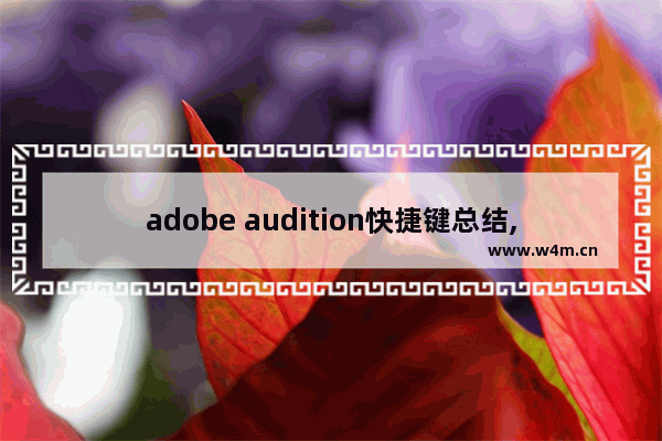 adobe audition快捷键总结,adobe audition cs6的编辑器包括