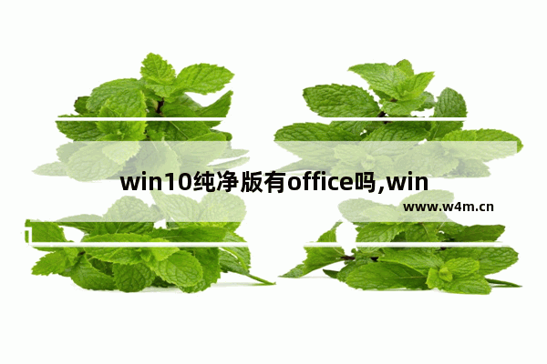 win10纯净版有office吗,windows10更新后office不能用了