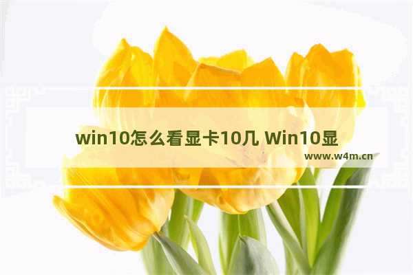 win10怎么看显卡10几 Win10显卡型号查询攻略