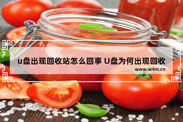 u盘出现回收站怎么回事 U盘为何出现回收站？