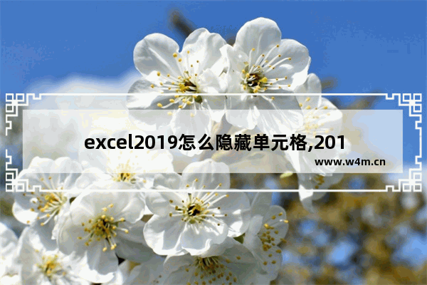 excel2019怎么隐藏单元格,2019excel隐藏在哪