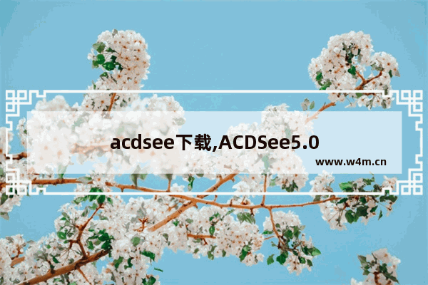 acdsee下载,ACDSee5.0