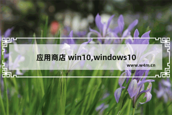 应用商店 win10,windows10有应用商店吗