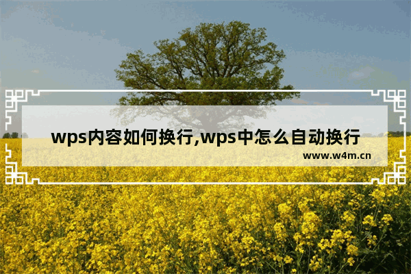 wps内容如何换行,wps中怎么自动换行