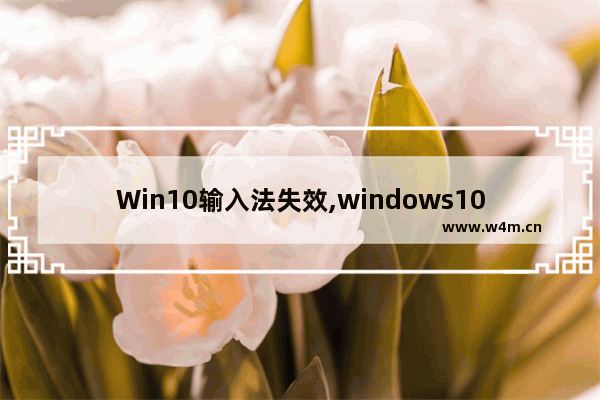 Win10输入法失效,windows10输入法打不了字