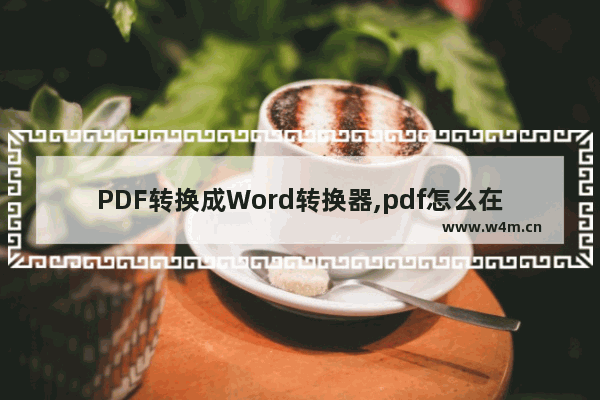 PDF转换成Word转换器,pdf怎么在线转换成word