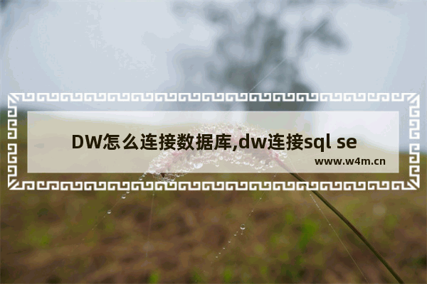 DW怎么连接数据库,dw连接sql server数据库