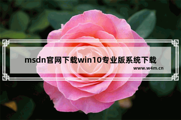 msdn官网下载win10专业版系统下载,微软官网原版win10下载