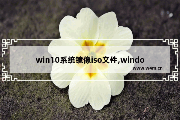 win10系统镜像iso文件,windows的iso镜像文件