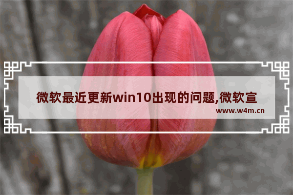 微软最近更新win10出现的问题,微软宣布停止更新windows10