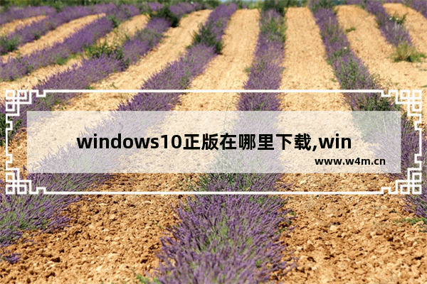 windows10正版在哪里下载,win10怎么在官方下载