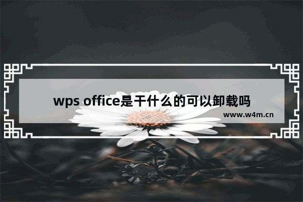 wps office是干什么的可以卸载吗,完全卸载wps office软件,应该如何操作