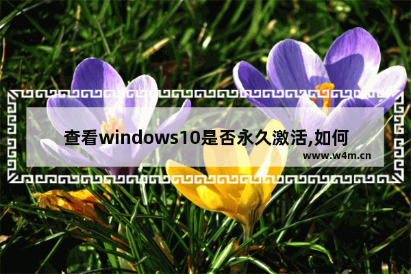 查看windows10是否永久激活,如何查看win10是否激活,查看系统是否永久激活