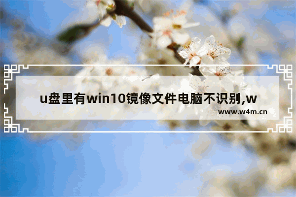 u盘里有win10镜像文件电脑不识别,win10镜像安装教程不用u盘