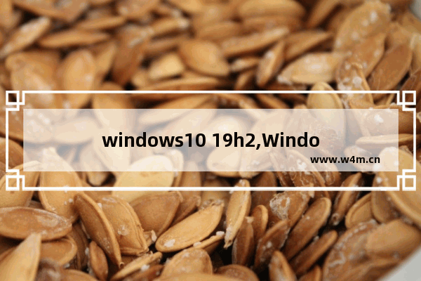 windows10 19h2,Windows10沙盒