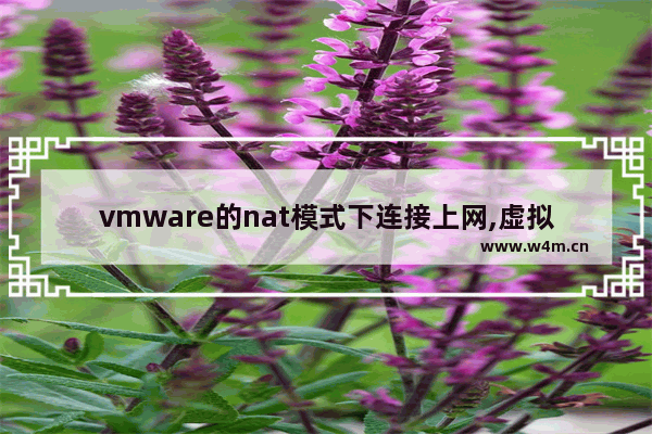 vmware的nat模式下连接上网,虚拟机怎么设置nat连接