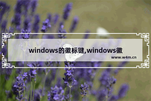 windows的徽标键,windows徽标键是什么意思