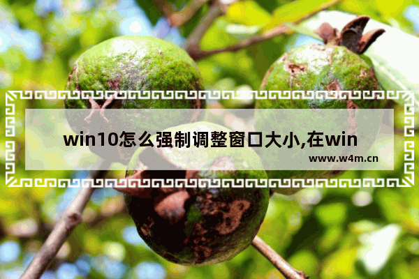 win10怎么强制调整窗口大小,在windows环境下对话框的窗口是无法调整大小的