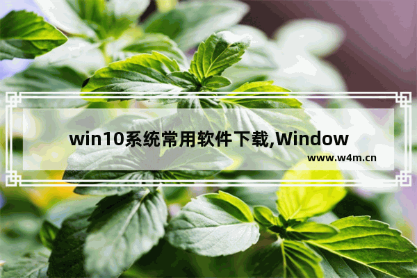 win10系统常用软件下载,Windows10常用软件