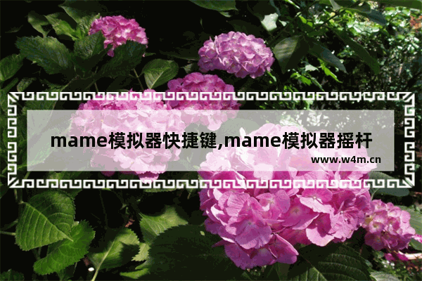 mame模拟器快捷键,mame模拟器摇杆怎么设置