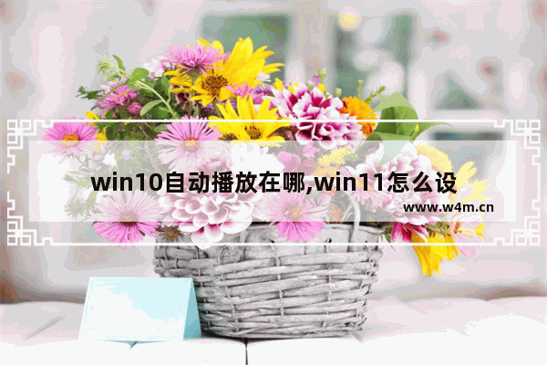 win10自动播放在哪,win11怎么设置默认播放器