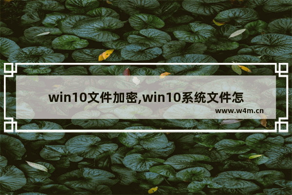 win10文件加密,win10系统文件怎么加密