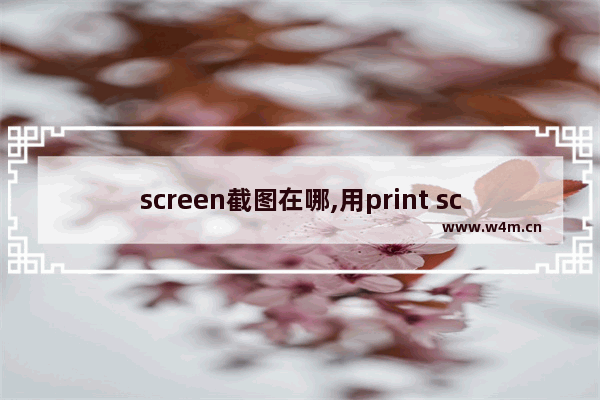 screen截图在哪,用print screen截的图在哪里啊