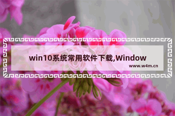 win10系统常用软件下载,Windows10常用软件