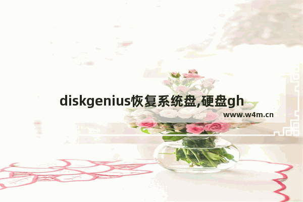 diskgenius恢复系统盘,硬盘ghost后恢复数据