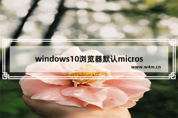 windows10浏览器默认microsoft edge,windows10没有edge浏览器