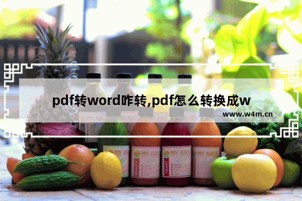 pdf转word咋转,pdf怎么转换成word转换器