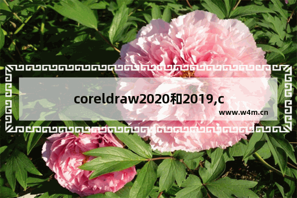 coreldraw2020和2019,coreldraw2019和2020的区别